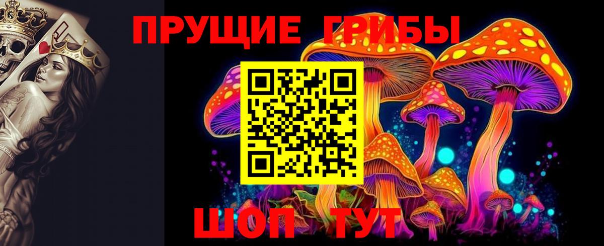Осинники  Псилоцибиновые грибы GOLDEN TEACHER  Вход с VPN 